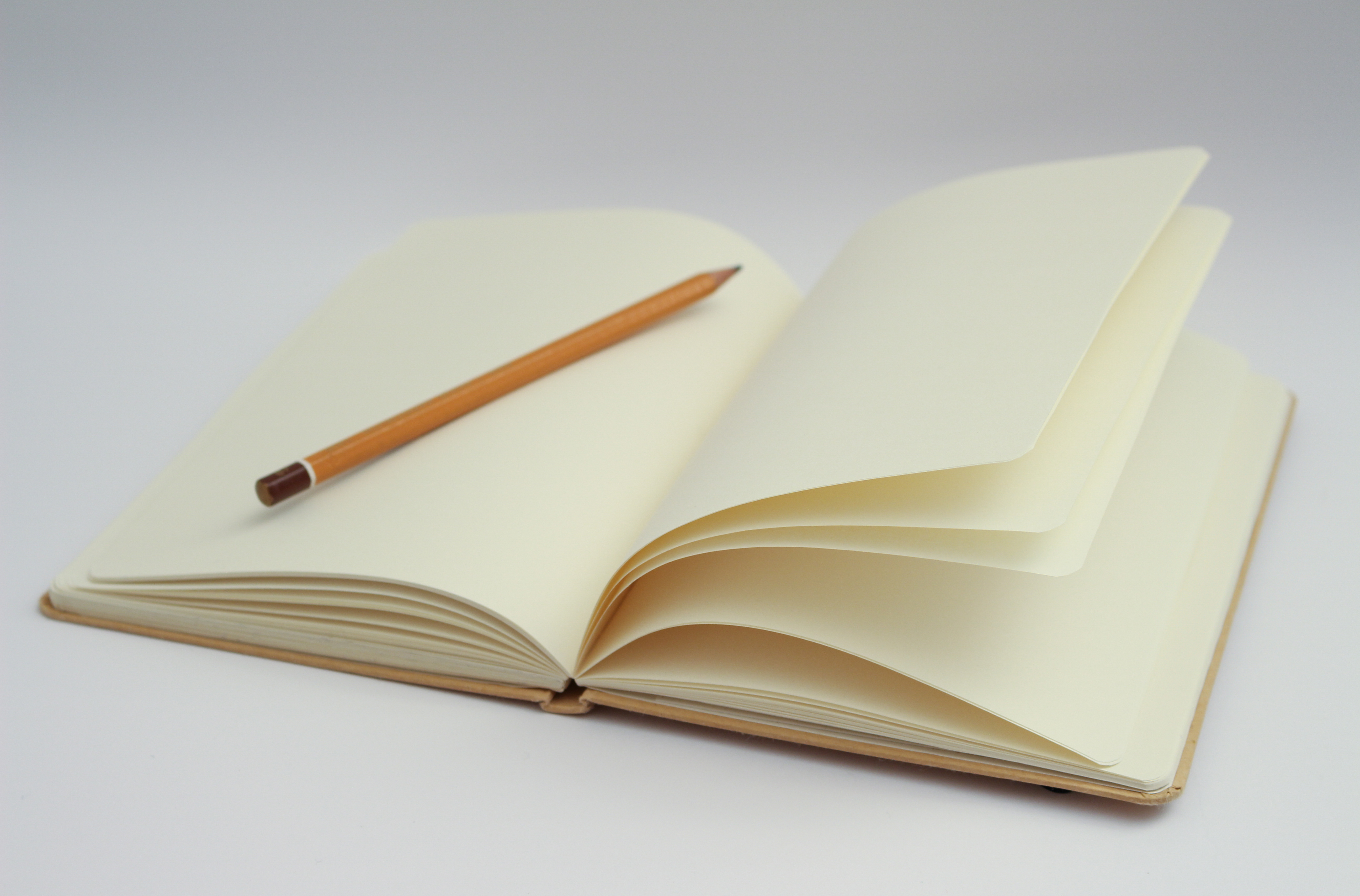 Starting up the Blog Again